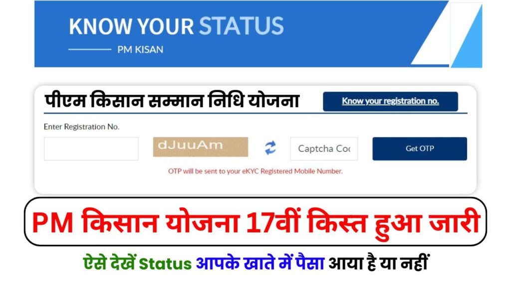 pm kisan status