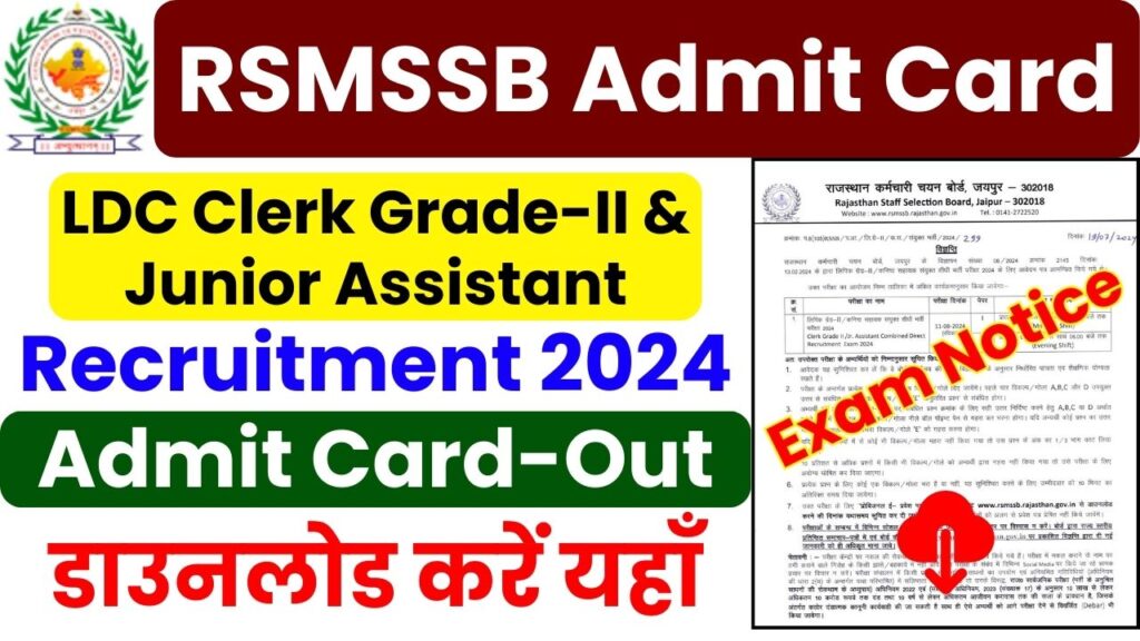 RSMSSB Admit Card 2024