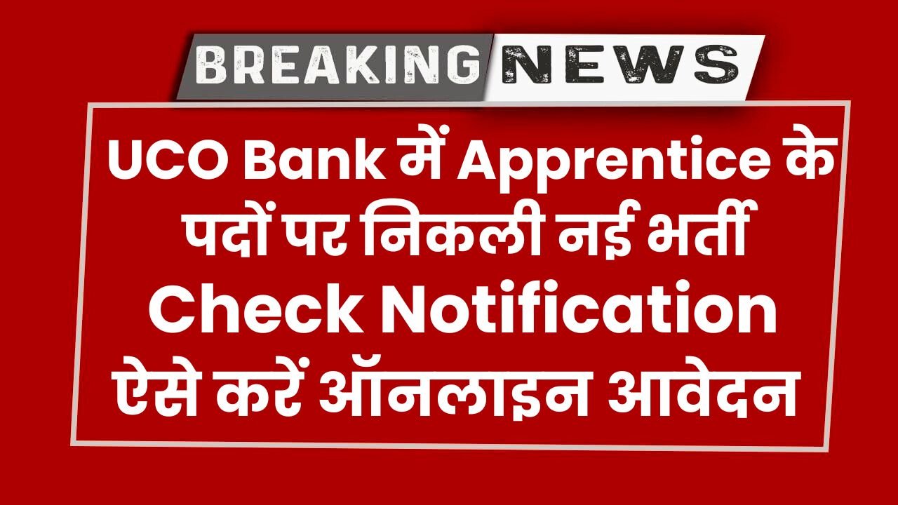 uco bank apprentice recruitment 2024