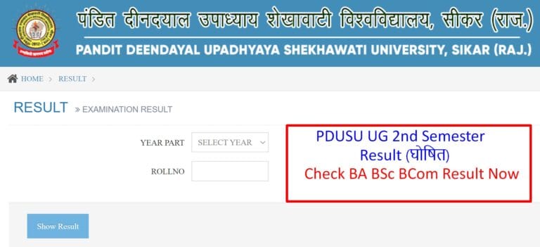 PDUSU UG 2nd Sem Result 2024